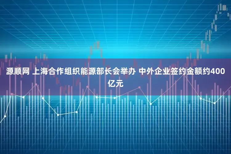 源顺网 上海合作组织能源部长会举办 中外企业签约金额约400亿元